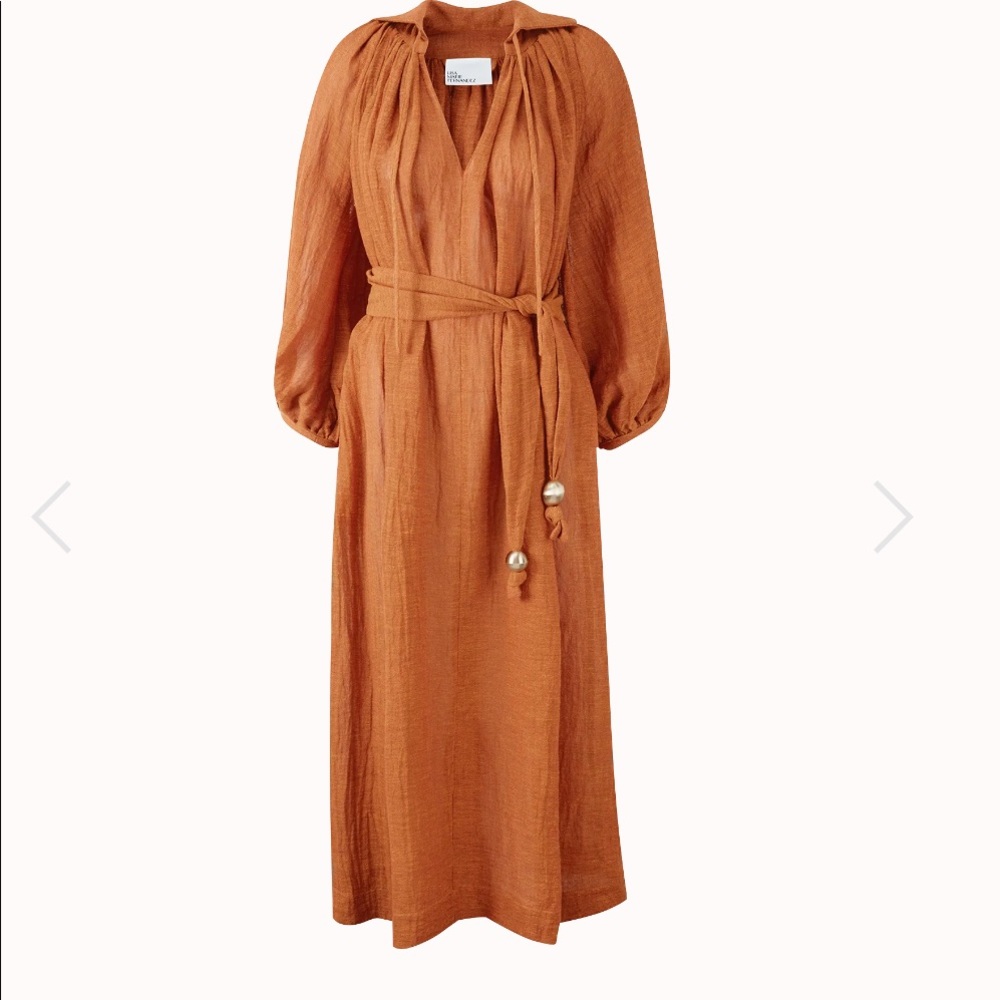 Lisa Marie Fernandrez dress